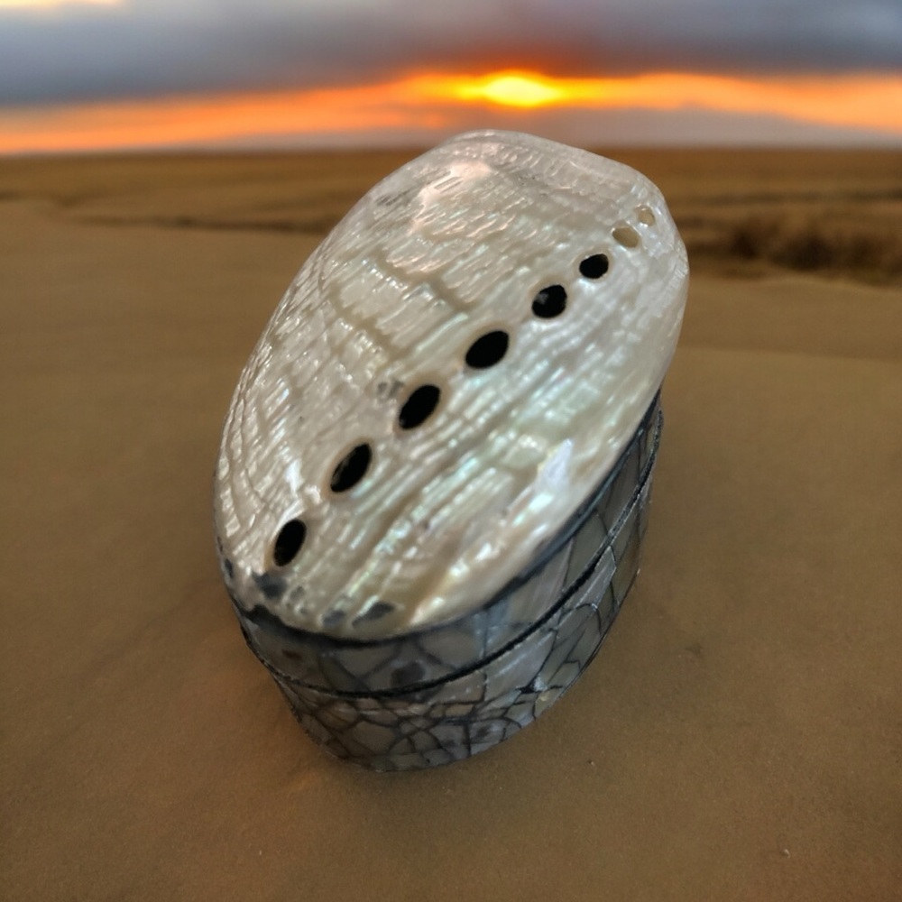 Sale! Abalone Seashell jewelry box